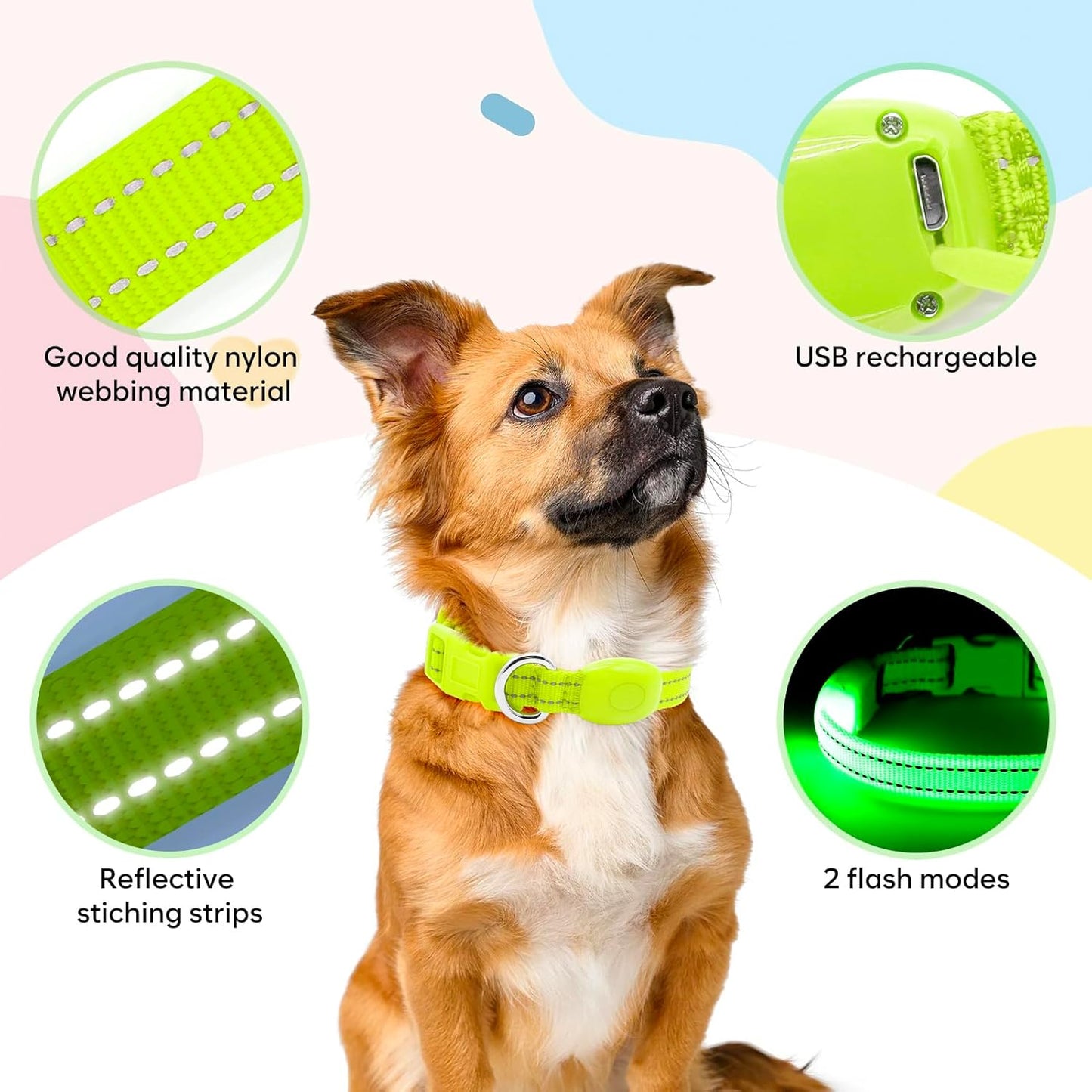 Light up Dog Collar Rechargeable - Reflective LED Pet Collar for Puppies & Cats, Glowing in the Dark Dog Lights for Night Walking (XS, Green)