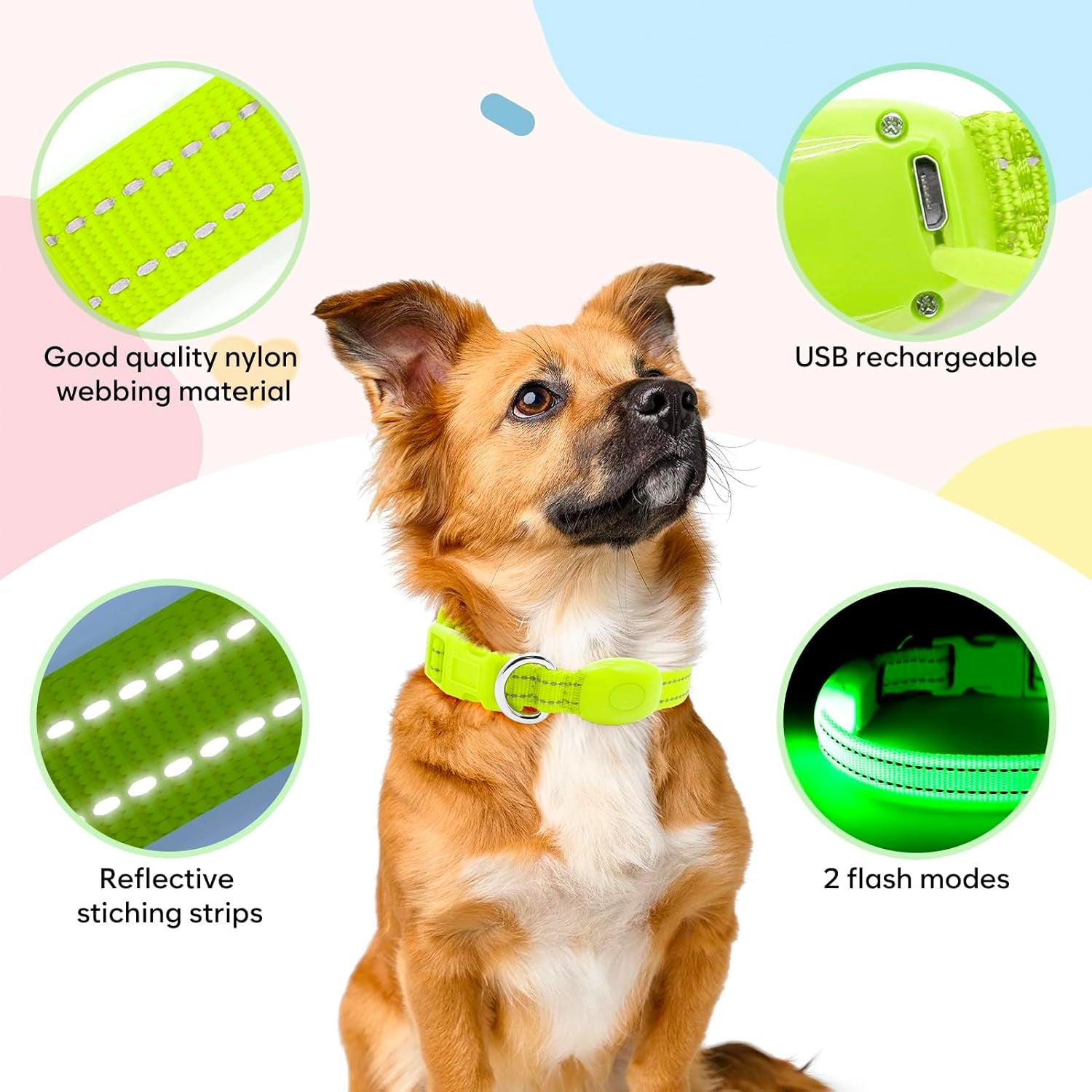 Light up Dog Collar Rechargeable - Reflective LED Pet Collar for Puppies & Cats, Glowing in the Dark Dog Lights for Night Walking (XS, Green)