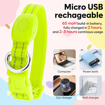 Light up Dog Collar Rechargeable - Reflective LED Pet Collar for Puppies & Cats, Glowing in the Dark Dog Lights for Night Walking (XS, Green)