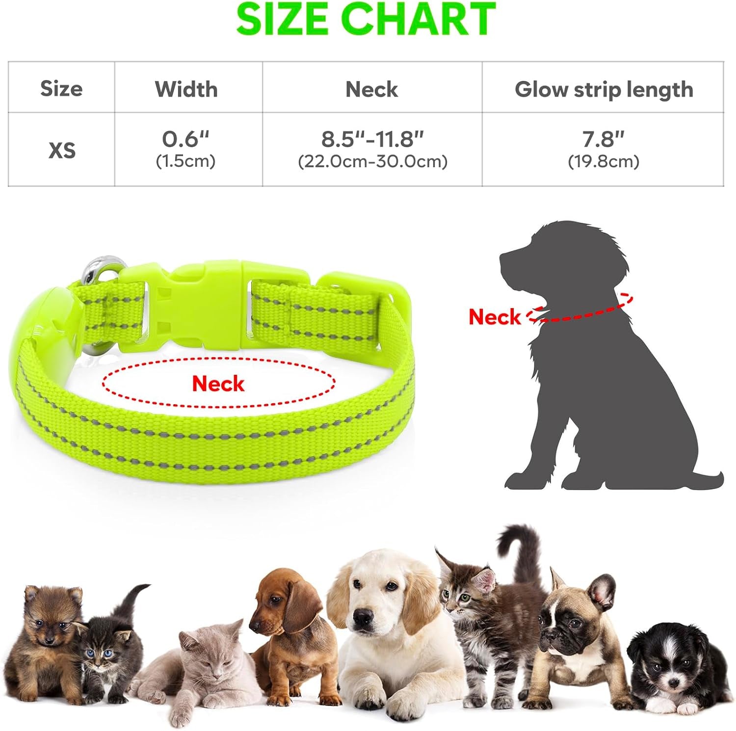 Light up Dog Collar Rechargeable - Reflective LED Pet Collar for Puppies & Cats, Glowing in the Dark Dog Lights for Night Walking (XS, Green)